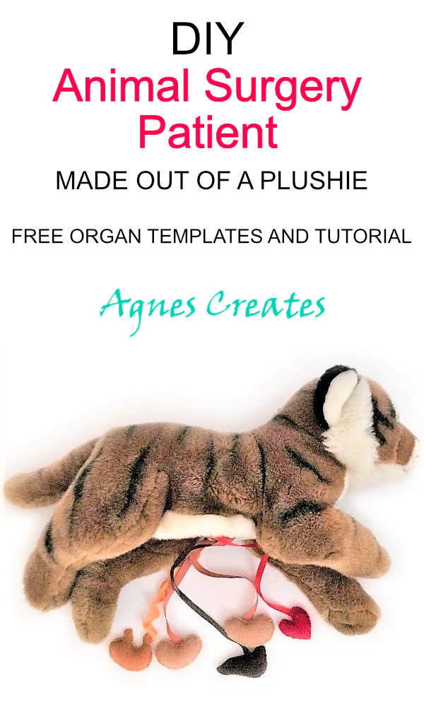 Learn how to make animal surgery patient pretand play toy!